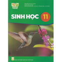 Sinh học 11 (Bộ Kết nối tri thức với cuộc sống)
