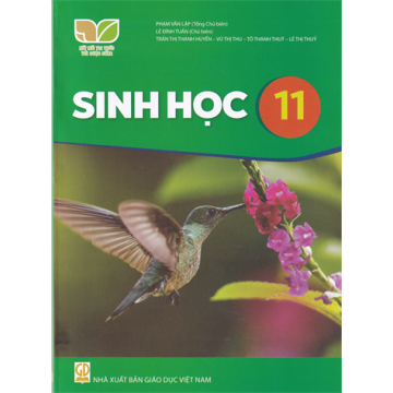 Sinh học 11 (Bộ Kết nối tri thức với cuộc sống)