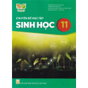Chuyên đề học tập Sinh học 11 (Bộ Kết nối tri thức với cuộc sống) - Định hướng khoa học máy tính
